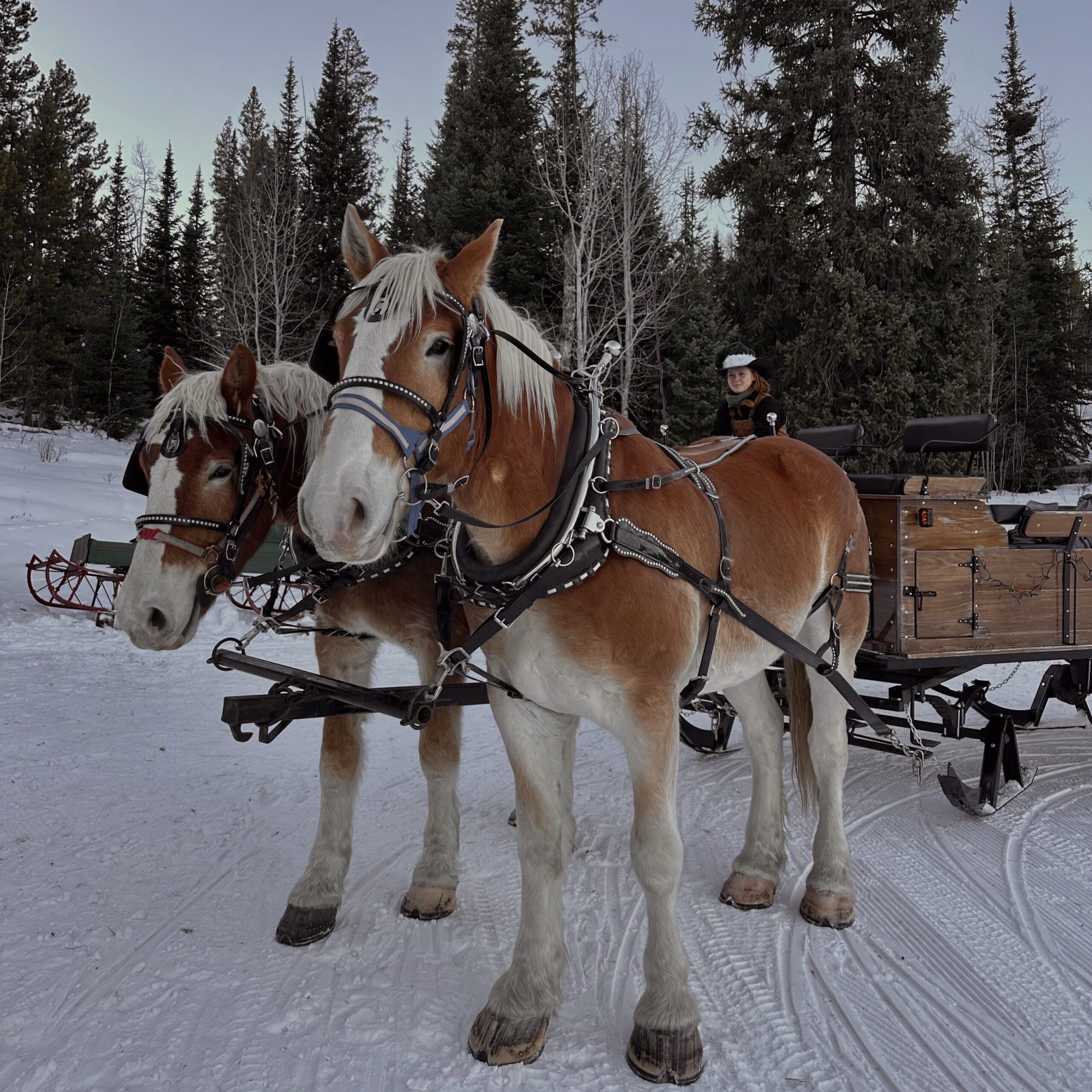 holiday events in seattle